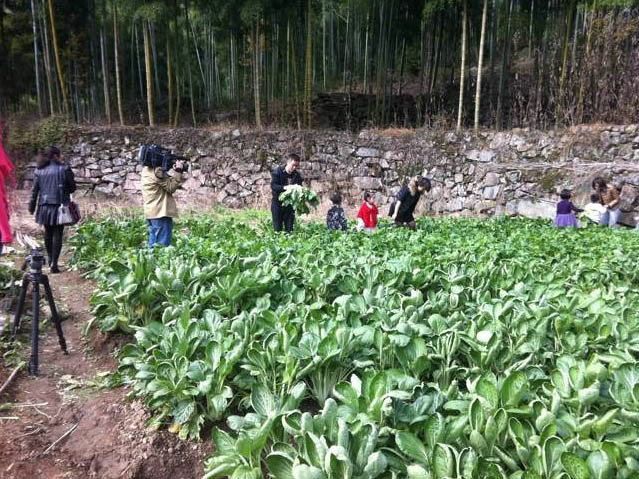 白水涧土灶头野炊餐厅等你来挑战 白水涧土灶头野炊餐厅等你来挑战